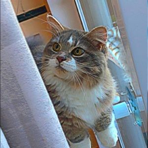 Meet your Posher, Léa